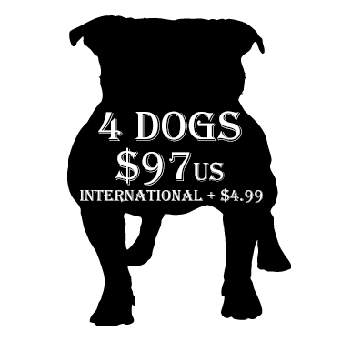 single dog registration